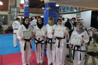 First International Seminar on Technical Promotion in ITF Taeckwon-Do for Women, Tehran, 24, 25 Dec. 2017